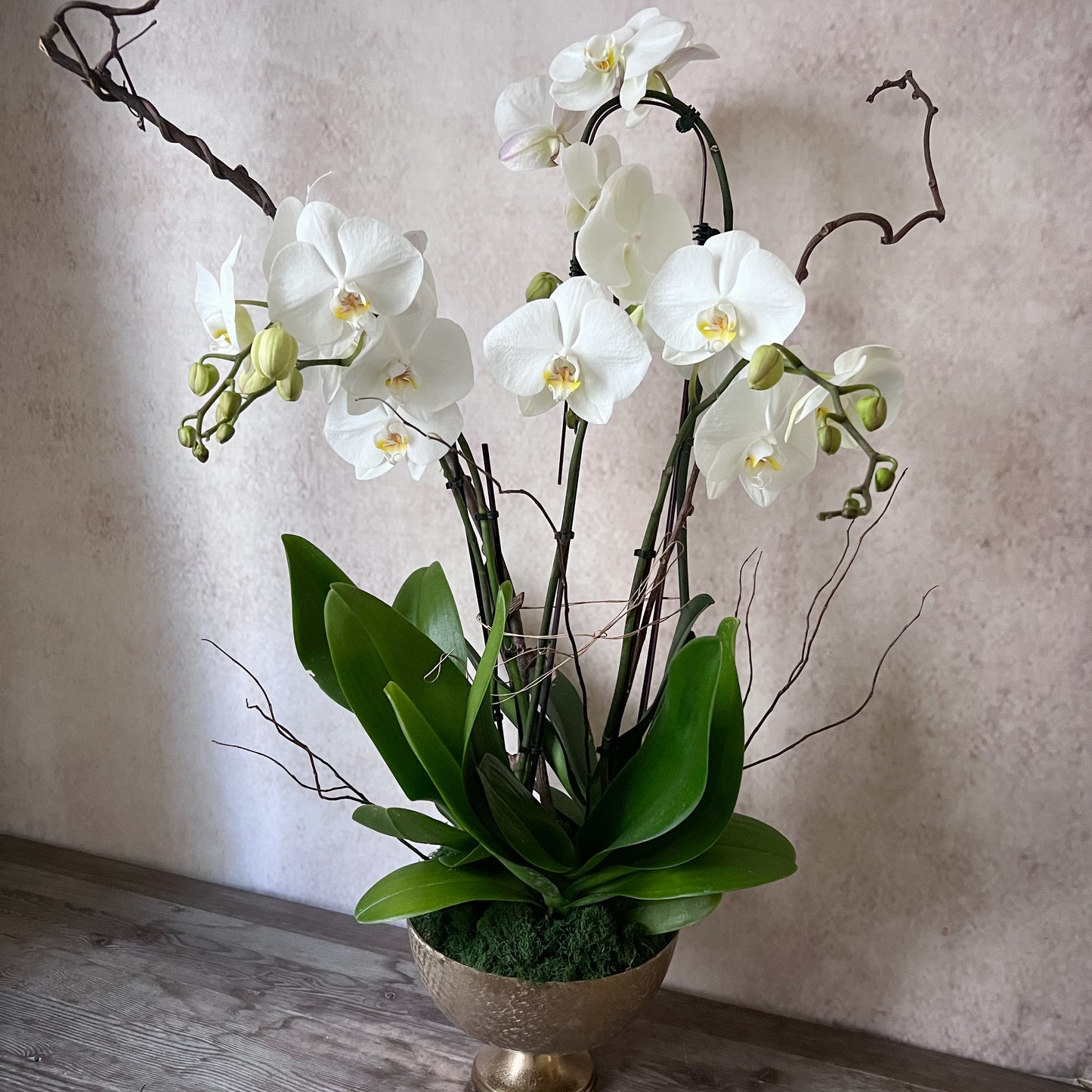 White Orchids